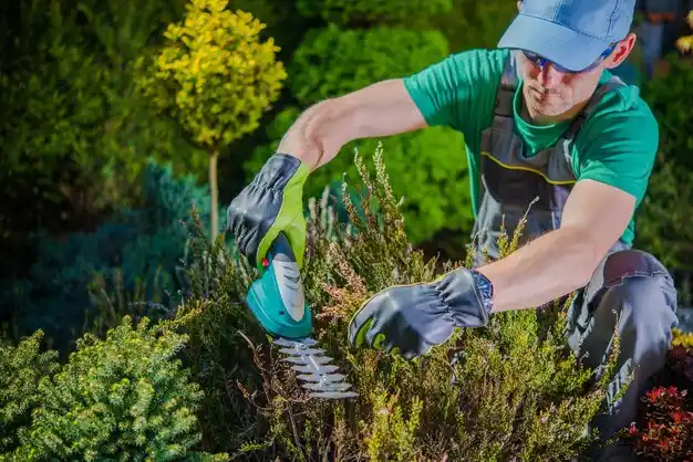 landscaping services Iberia